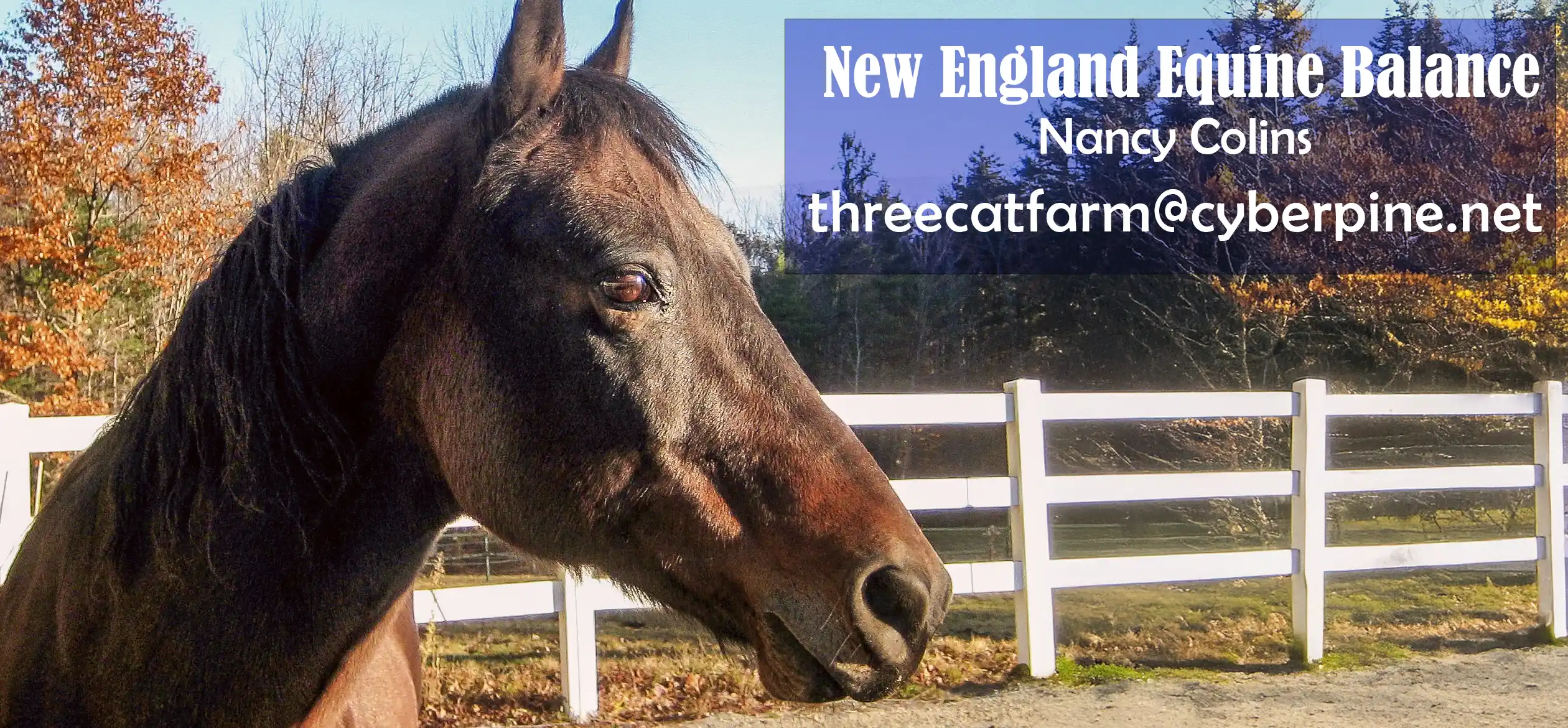 New England Equine Balance