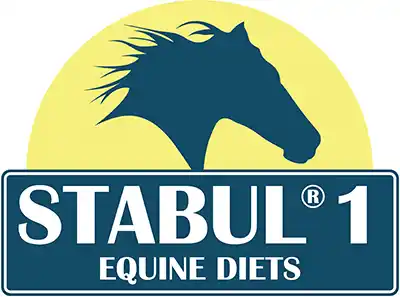 Stabul
