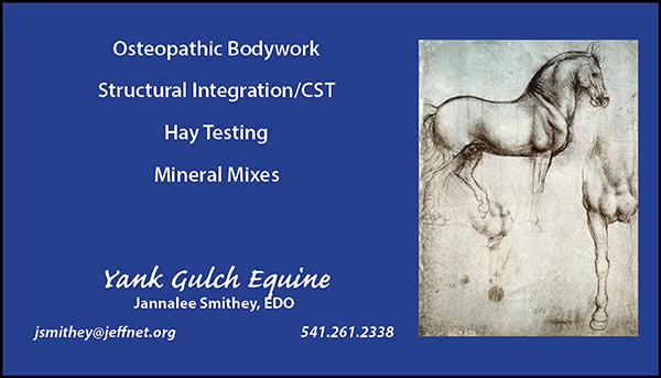 Yank Gulch Equine