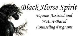 Black Horse Consulting